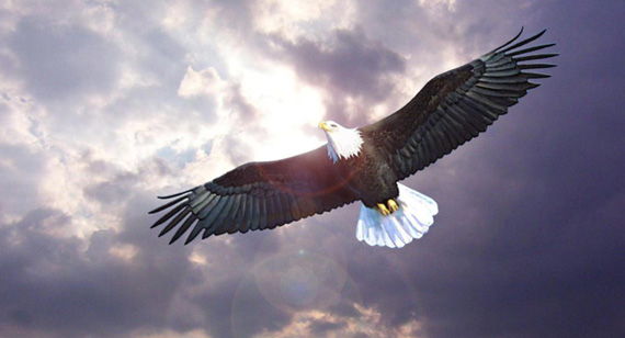 PA旗舰厅(中国区)官方网站-PlayAce