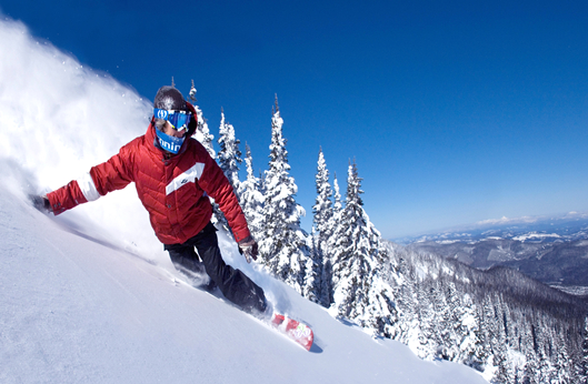 PA旗舰厅(中国区)官方网站-PlayAce