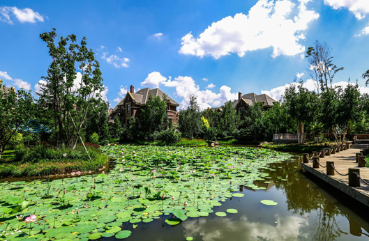 PA旗舰厅(中国区)官方网站-PlayAce