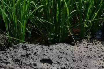 PA旗舰厅(中国区)官方网站-PlayAce