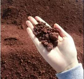 PA旗舰厅(中国区)官方网站-PlayAce