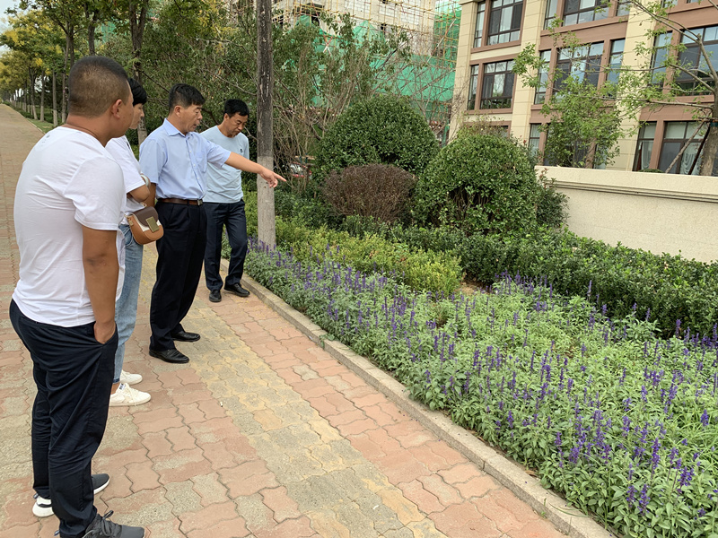 20.园林公司赴威？？疾煲计纺仙较钅.jpg