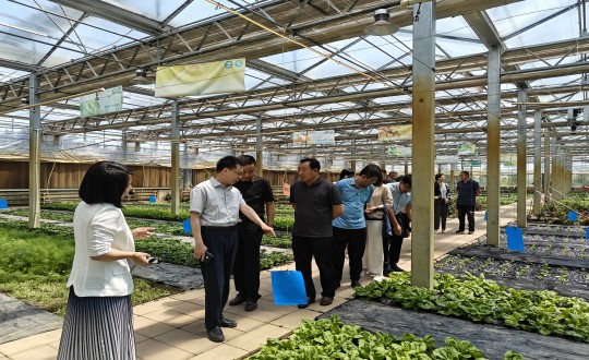 2024年6月27日，，中国绿色食物开展中心相关向导莅临农业总公司考察调研_副本.jpg
